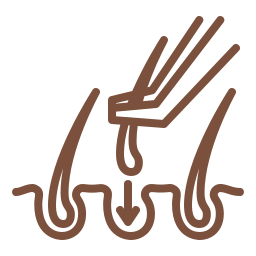 Hair Transplant Services